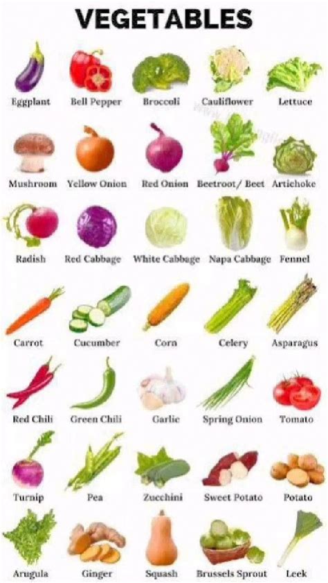 25 Vegetables Names In English Definition And Examples Artofit