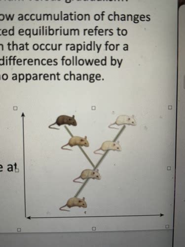 Bio 112 Exam 2 Flashcards Quizlet