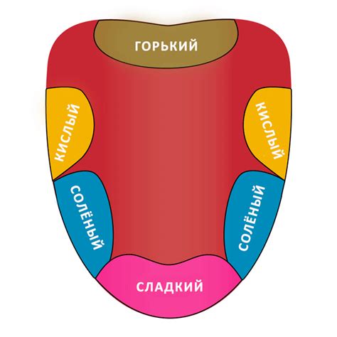 Бокалы для вина: какие бывают и какой формы выбрать?
