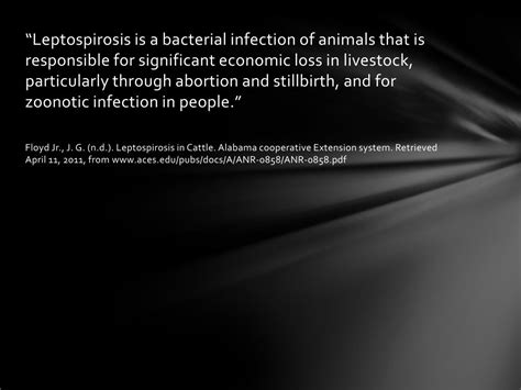 PPT - Leptospirosis in Cattle PowerPoint Presentation, free download ...