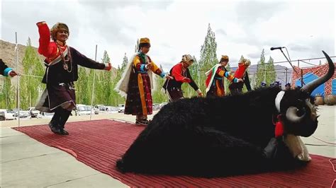 Ruru Lay Jabro Yak Dance Ladakh Youtube