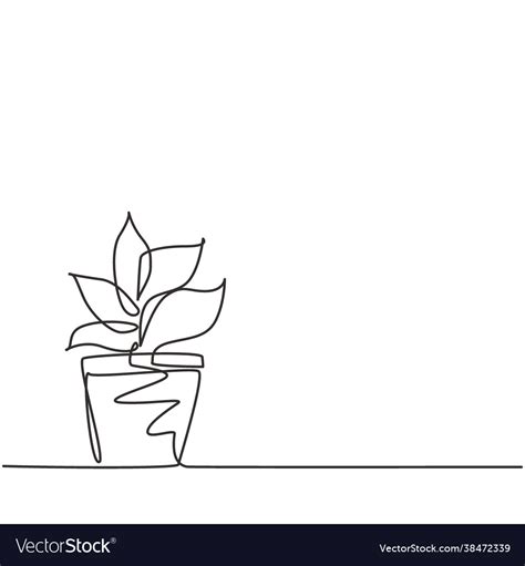 Single Continuous Line Drawing Potted Plants Vector Image