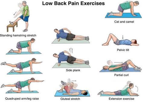 19 best images about Physiotherapy Exercises For Back Pain on Pinterest