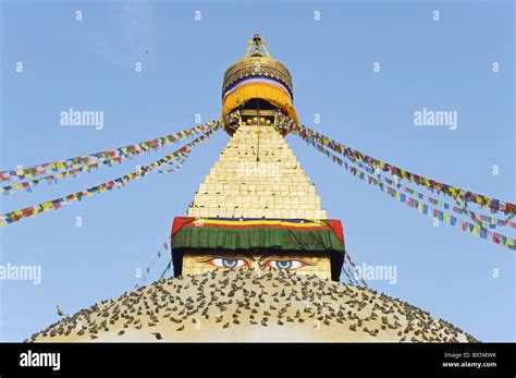 Pigeons And Prayer Flags On Boudha Stupa Chorten Chempo Boudhanath