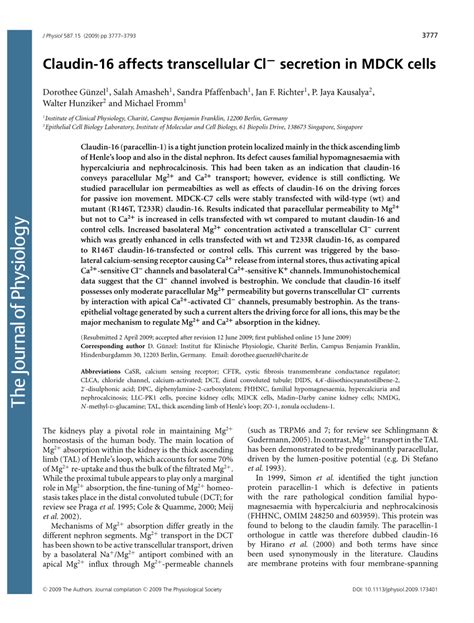 Pdf Claudin 16 Affects Transcellular Cl− Secretion In Mdck Cells