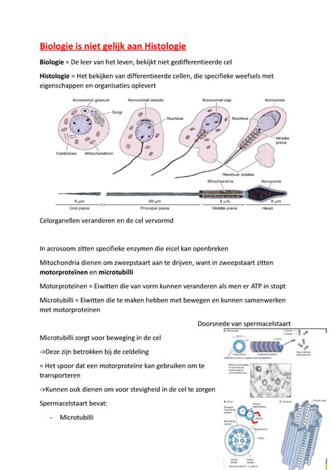 HOC 1 Biologie Is Niet Gelijk Aan Histologie Biologie Is Niet Gelijk