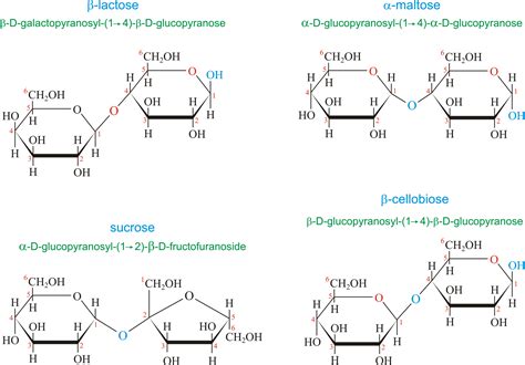 Download disaccharide.png image from glossary.periodni.com