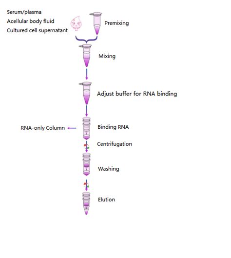 High Rna Yield Viral Rna Isolation Kits Preps Linear Acrylamide