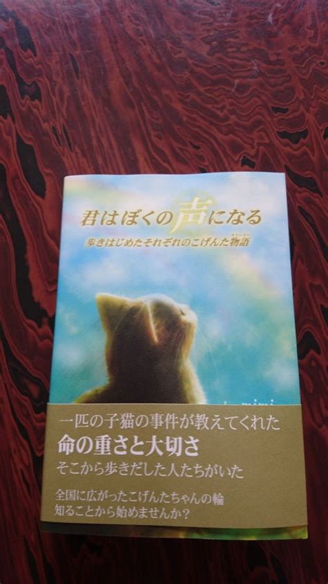 【閲覧注意】福岡猫虐待事件 こげんた事件 を解説！犯人の現在は逮捕されて牢屋？ トレトピマガジン