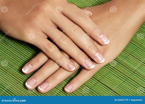 Nails With Perfect French Manicure Care For Female Hands Stock Image