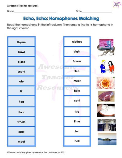 Echo Echo Homophones Matching Worksheet Homophones Teacher