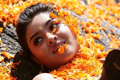Vaidooryam Malayalam Movie Wallpapers Vaidooryam Hot Movie Stills Vaidooryam Release Date