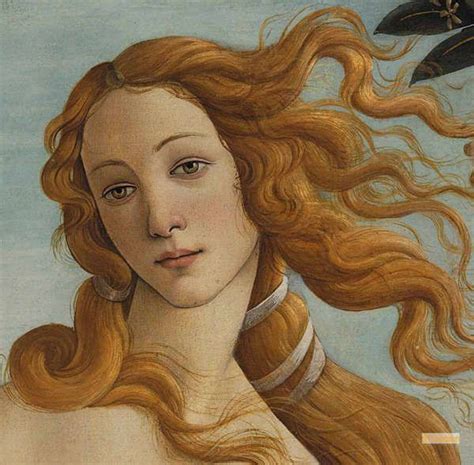 Venus Paintings Renaissance