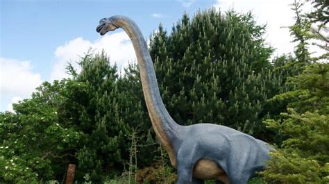 Dinosaurios De Cuello Largo Características Y Ejemplos