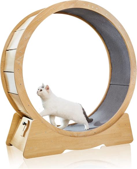 Cat Wheel Exerciser For Indoor Cats Diameter 433 4527