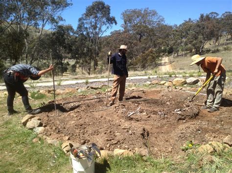 Designing a MicroForest Garden - Milkwood: permaculture courses, skills ...