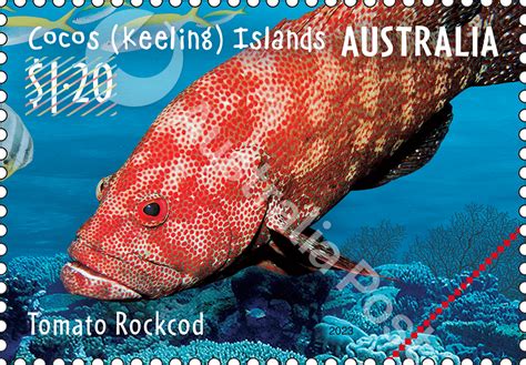 A Third Trip To Cocos Keeling Islands Stamp Program 2023 Bitter