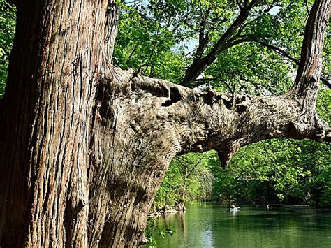 Pinnacle Mountain State Park, an Arkansas park located near Alexander ...