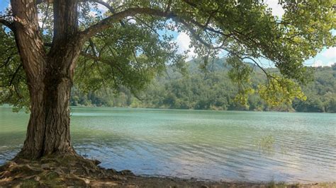 Cose Da Fare Al Lago Di Gramolazzo E Dintorni Tra Avventura Natura