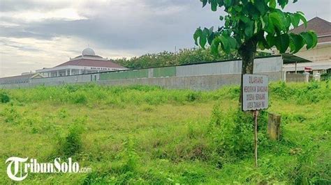 Penampakan Lahan Rumah Penisun Jokowi Di Karanganyar Luas Ribu