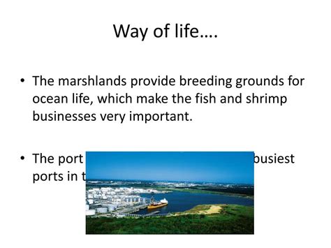 Ppt Coastal Plains Region Powerpoint Presentation Free Download Id 3439691