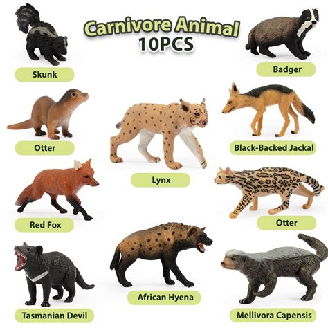 Buy Toymany 10pcs Forest Animal Figures Wildlife Carnivore Animal