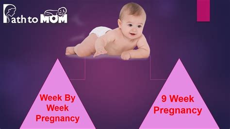 Pregnancy Week By Week 9 Weeks Pregnant Pregnancy Stages And Fetal