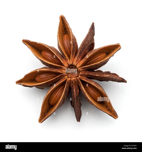 Star Anise Spice Fruit And Seeds Isolated On White Background Closeup