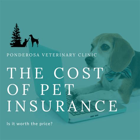 Is Pet Insurance Worth The Cost Ponderosa Veterinary Clinic