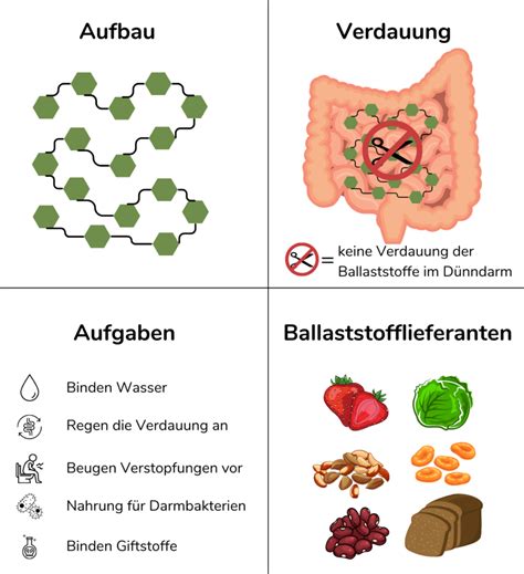 Alles Was Zum Thema Ballaststoffe Wichtig Ist Neatic