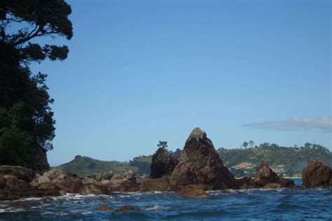 Beaches In Coromandel, New Zealand | Hot Water Beach, Coromandel ...