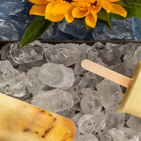 Grilled Pineapple & Coconut Popsicles - Olivado