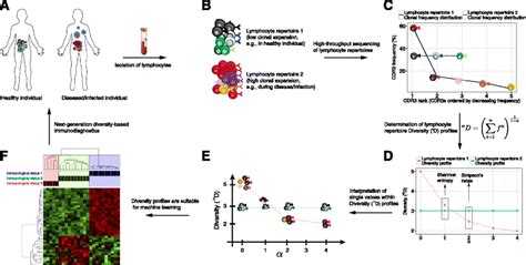 A Bioinformatic Framework For Immune Repertoire Diversity Profiling