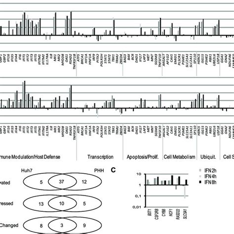 Isgs Expression Profiles In Huh7 Cells And Phh After Ifn Treatment A Download Scientific