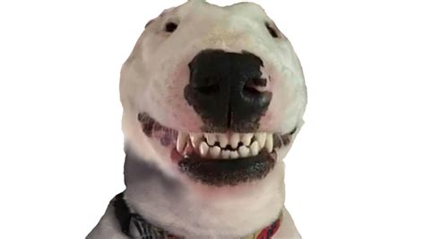 Walter Smiling PNG : dogelore