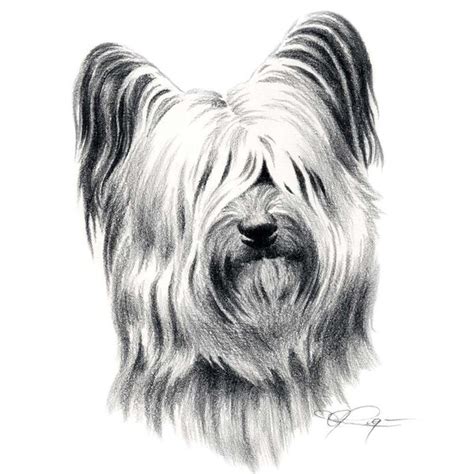 Dog Pencil Drawing Etsy