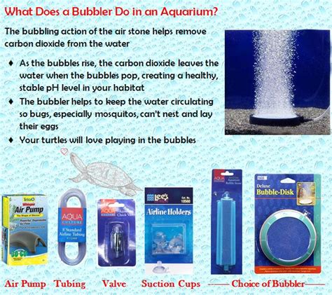 Oxygenating Your Tank Turtles Love Playing In The Bubbles Turtle