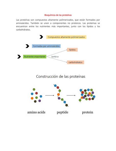 Pdf Bioqu Mica De Las Prote Nas Las Prote Nas Son Compuestos