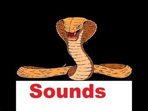 Snake Hiss Sound Effects All Sounds - YouTube | Sound effects, Snake, Sound