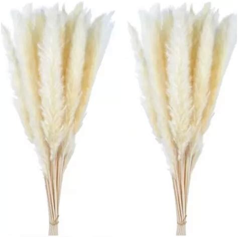 Pampas Secas 30pcs Plantas Decorativas Flores Artificiales Envío gratis