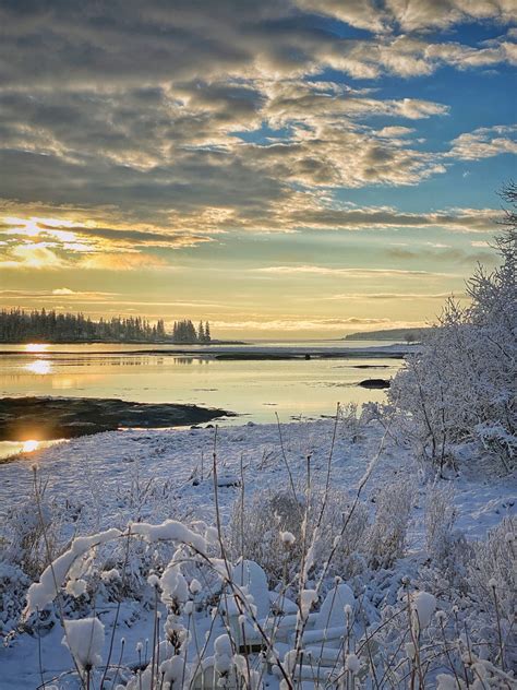 One Winter Week in Maine - Molly in Maine