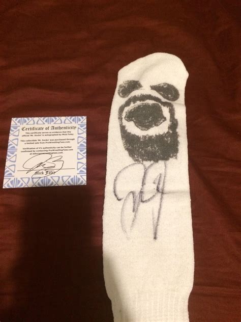 Receieved my Mr Socko! Signed by Mick Foley, sold by PWTees for Charity : r/WWE