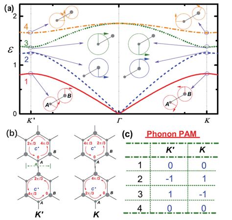 Valley Phonons Of A Honeycomb Ab Lattice A Phonon Dispersion