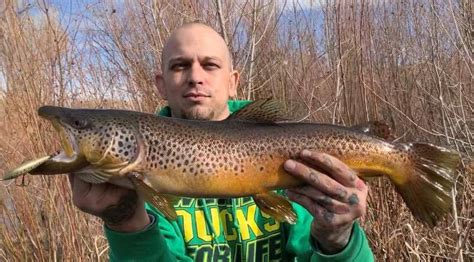 Truckee River Fish Report