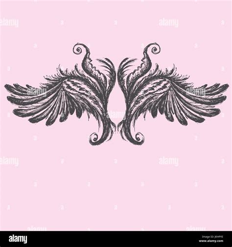 Wings Vector Illustration Stock Vector Image Art Alamy