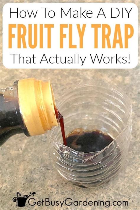 Homemade Fruit Fly Trap Diy Fruit Fly Trap Diy Fly Trap Diy Vinegar