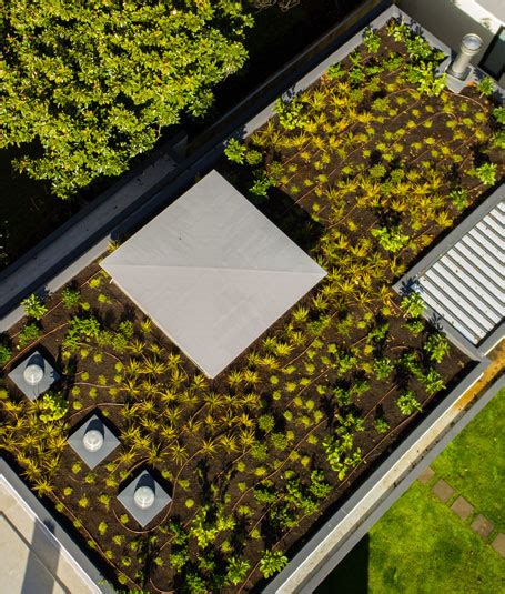 Green Roof Design NZ