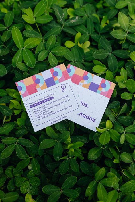 Cartões de visita criativos - 100% Biodegradáveis - Papel Semente