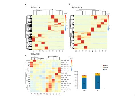 Differentially Expressed Genes Degs Lncrna Dels And Mirnas Dems