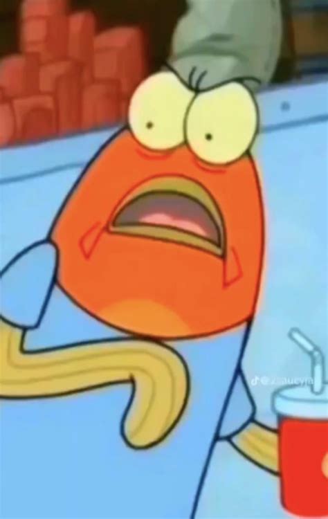 Some Of My Favorite Paused Spongebob Moments R 691